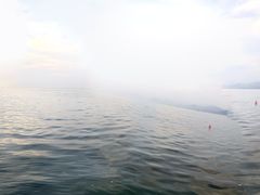 -天盛海鲜烧烤大排档·本地小海鲜·牟平腿穗子(幸福店)