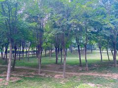-洨河生态公园