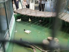 -上海大自然野生昆虫馆(东方明珠·爬宠昆虫探索中心)