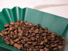 -SAFARI COFFEE