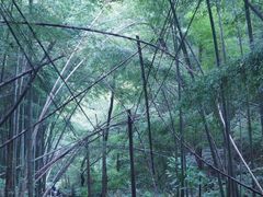 -会稽山峡洞漂流-上青古道