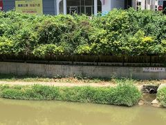 -福驎咖啡FURNING CAFE(固戍华丰店)