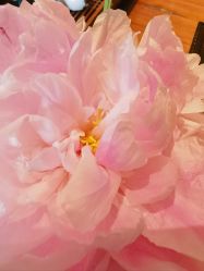 -胤一红帮手工西服定制(日湖店)