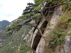 -罗田天堂寨风景区