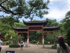 -杭州半山国家森林公园