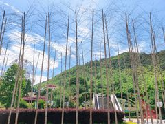 -安吉Hello Kitty乐园