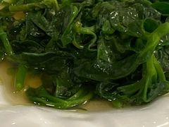 清炒穿心莲-同和居(什刹海店)