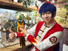 -吉丁鸟咖·异宠·寄养