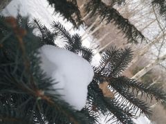 -长春公园(普阳街道)