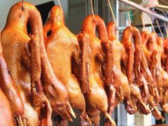 -陈鹏鹏潮汕菜(宝安机场T3航站楼店)