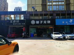 -柚子宠物(伊珊娜调理店)