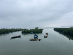 -盐洲岛