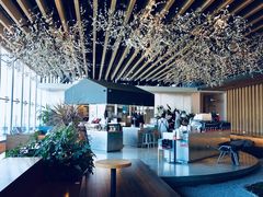 -Seesaw Coffee(朝阳大悦城店)