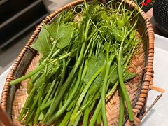 -蘑界·野生菌火锅(深业上城店)