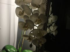 -Dragonfly悠庭·按摩Spa(浦东嘉里城店)