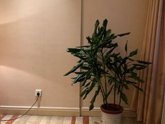-电谷雅阁国际大酒店