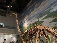 -自贡恐龙博物馆