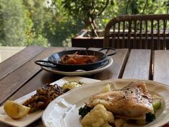 -TOMATITO(无限极荟店)