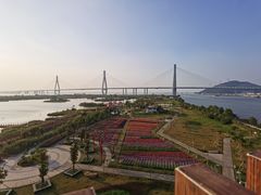 -芒洲湿地公园