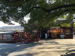 -西湖外事游船(花港观鱼码头)