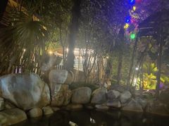 -张家港金凤凰度假村温泉