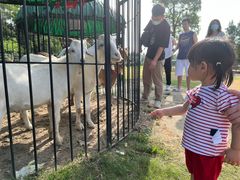 -前小桔亲子创意农场·草莓采摘·露营烧烤