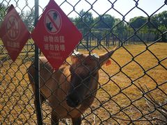 -北京麋鹿生态实验中心