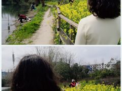 -贵阳市花溪国家城市湿地公园