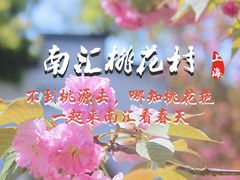 -南汇桃花村