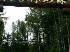 -峡谷浮石林景区