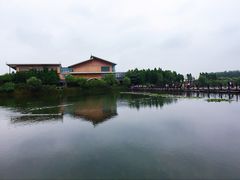 -溱湖国家湿地公园