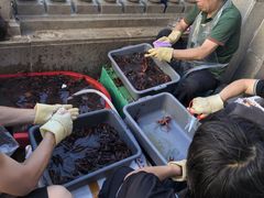 -小田油焖小龙虾(双井店)