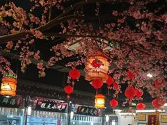 -卢大鲜鱼头捞饭(美利广场店)