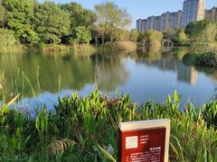 -洋湖国家湿地公园