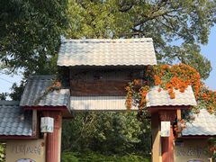 -晓雯人家