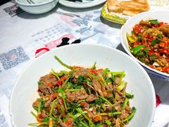 香菜炒牛肉-壹盏灯(蚂蚁工房店)
