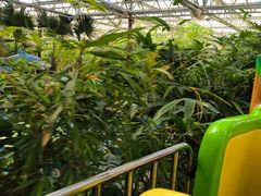 -南宫五洲植物乐园