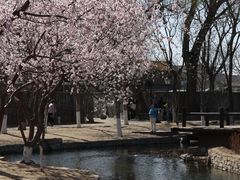 -三里河公园