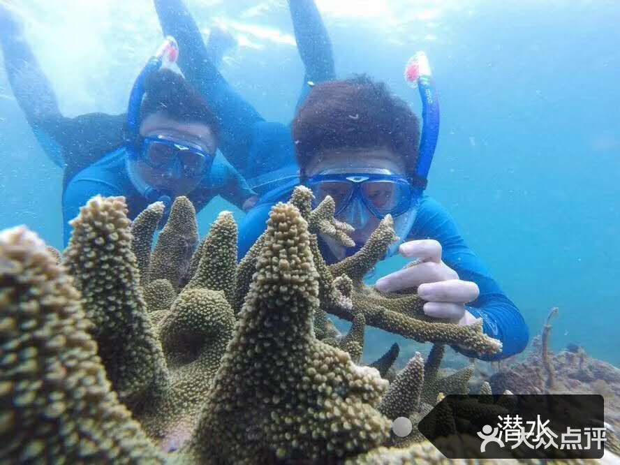 三亚海蓝仁百福岛软珊瑚保护区