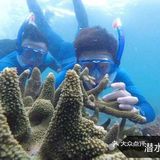 三亚海蓝仁百福岛软珊瑚保护区