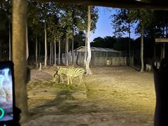 -清迈夜间动物园