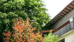 -爱帝宫月子中心(罗湖别墅院)