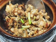-红星光发煲仔饭(文海店)