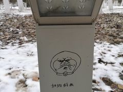 -莫子山公园