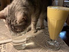 -隅cafe(傅厚岗店)