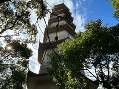 -江心屿景区