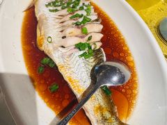 豉油蒸白水鱼-金美华轩(东方路齐鲁店)