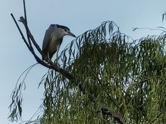 -苏州河梦清园环保主题公园