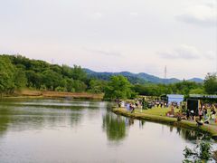 -大塘金香草谷