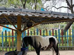 -广东花都香草世界旅游度假区